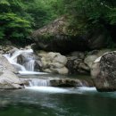 중동종로약국 이미지