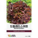 씨앗 - 남양주시 덕소로116번길 11 | 씨앗
