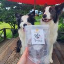 뚱띠레이 이미지