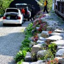 개나리민박 이미지