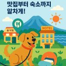 (주)제주 유리의 성 | 🐶 반려견과 제주도 2박3일 코스: 맛집부터 숙소까지 알차게!