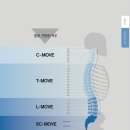 SNPE 바른자세 척추운동 이미지
