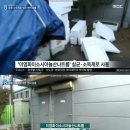 연어로만마트 Daum카페