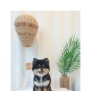 레오그루밍 이미지