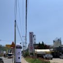 김밥천국(벌교) 이미지