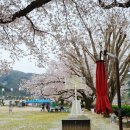 가사문학초등학교 이미지