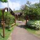 웰빙아울렛 이미지