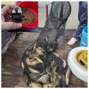 송말낚시터 이미지