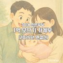 성공한 부부 & 실패한 부부, 부부행복 시크릿 | 2025년 신혼부부 가계부 결산, 1억 모으기 결과는?