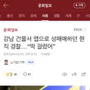 강남 건물서 앱으로 성매매하던 ‘현직 경찰’ …“딱 걸렸어” 이미지