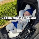 신생아부터 사용 가능한 사계절 유모차라이너 추천 베베누보 양면 유모차라이너 (줄즈 지오3)