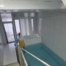 롯데마트 여수점 | 강아지동반 2박3일 여수여행