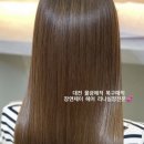 반석타워 | 대전미용실 복구매직 추천! 손상된 머릿결 마법같이 복구하는 장앤제이 반석점 리얼 후기 😘