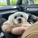 산음펜션 | 야외에서 하는 1박2일 애개육아 (양평 산음펜션 후기)