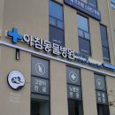 아침동물병원 이미지
