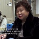 나무어학원