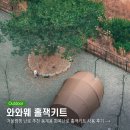 화목환경 | 겨울캠핑 난로 추천 동계용 화목난로 텐트 홀잭키트 사용 후기