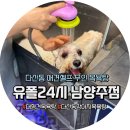 유폴 애견셀프목욕, 애견미용, 애견용품 직영점 | 유폴24 남양주 다산동 애견 강아지 셀프무인목욕탕 방문기