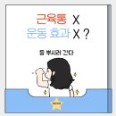 오거리하이퍼 | [부평 헬스장] 근육통이 없으면 운동 효과 없는 걸까?