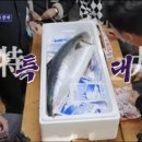 원낚시
