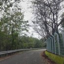 벽계관광지(입구) 이미지