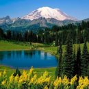 자연-이미지 이미지