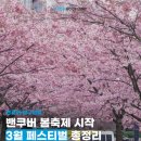호매실벚꽃음식문화거리 | 2026년 3월 밴쿠버 축제 총정리 🌸벚꽃·와인·댄스·전통 문화까지 한눈에!