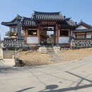 부여한옥카페 무드 빌리지 강아지 친구랑 신나게 놀다 온 후기ㅋ
