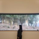 (유)공감선유 이미지