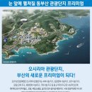 일광신도시공인중개사사무소 이미지