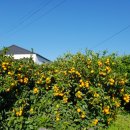 하례2리농촌체험휴양마을 이미지