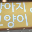 셀메드단골약국 네이버블로그