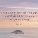 작전 유도 이미지