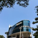 (주)재승 | 부산 영도 태종대 당일치기 여행 코스 다누비 열차 요금 시간표 주차장 꿀팁