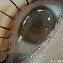 중앙동198 이미지