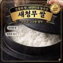 (주)농수산식자재할인마트 | 대한민국농수산 당일도정 새청무쌀 10kg 특가! 밥맛 살리는 솔직 후기