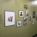 김용철화실미술학원