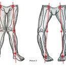 (주) 에이블짐 강남역점 이미지