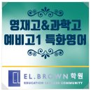 엘브라운영재관