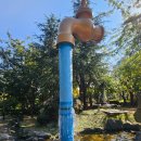 소리나팔꽃 | 동인천 가을 산책 가볼만한 곳 동구 송현근린공원