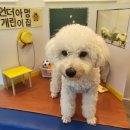 언더아멍 이미지