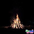 펜션비우고채우는숲 | 서울 근교 1박2일 워크샵 장소