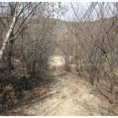 삽티농장 이미지