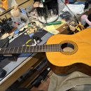 도선고등학교 이미지