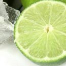 라임 이미지