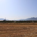 김종옥농장 | 전남 구례 자연의뜰 부유단감 팜파티 후기 (feat. 힐링)