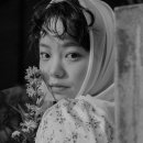 인세미 이미지