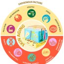 Re: plant stem cell 식물 유래 줄기세포 탐구!! 피부질환 2024 이미지