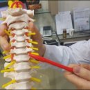 화곡부부한의원 이미지