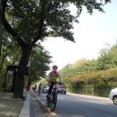 동구 구민화합축제 이미지